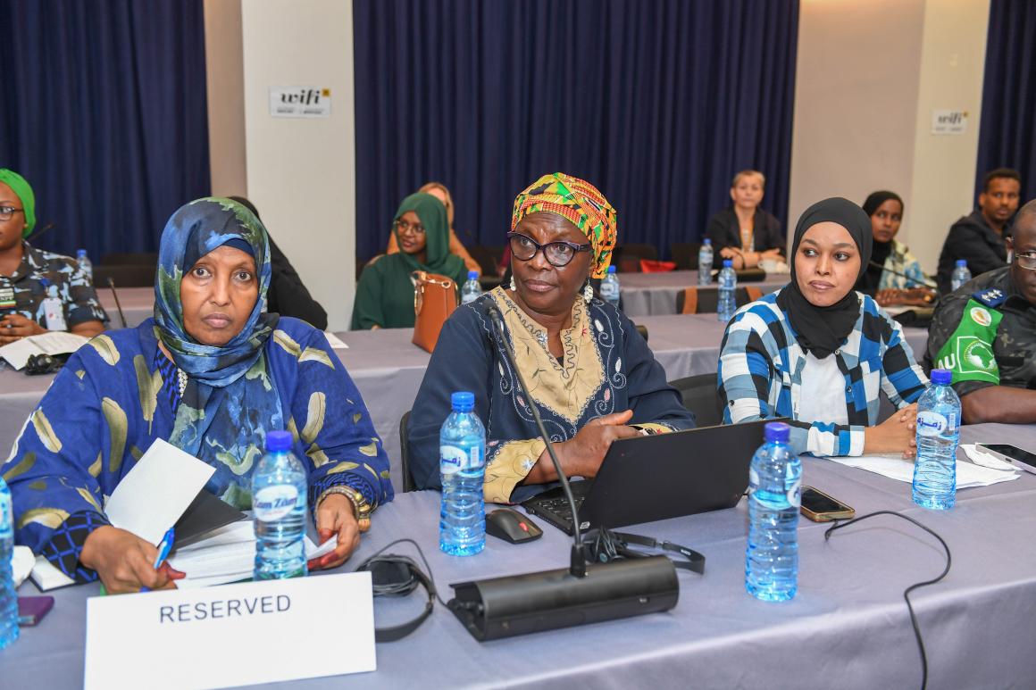 somalia-and-partners-reaffirm-commitment-to-womens-full-inclusion-in-peace-processes_54889741976_o.jpg